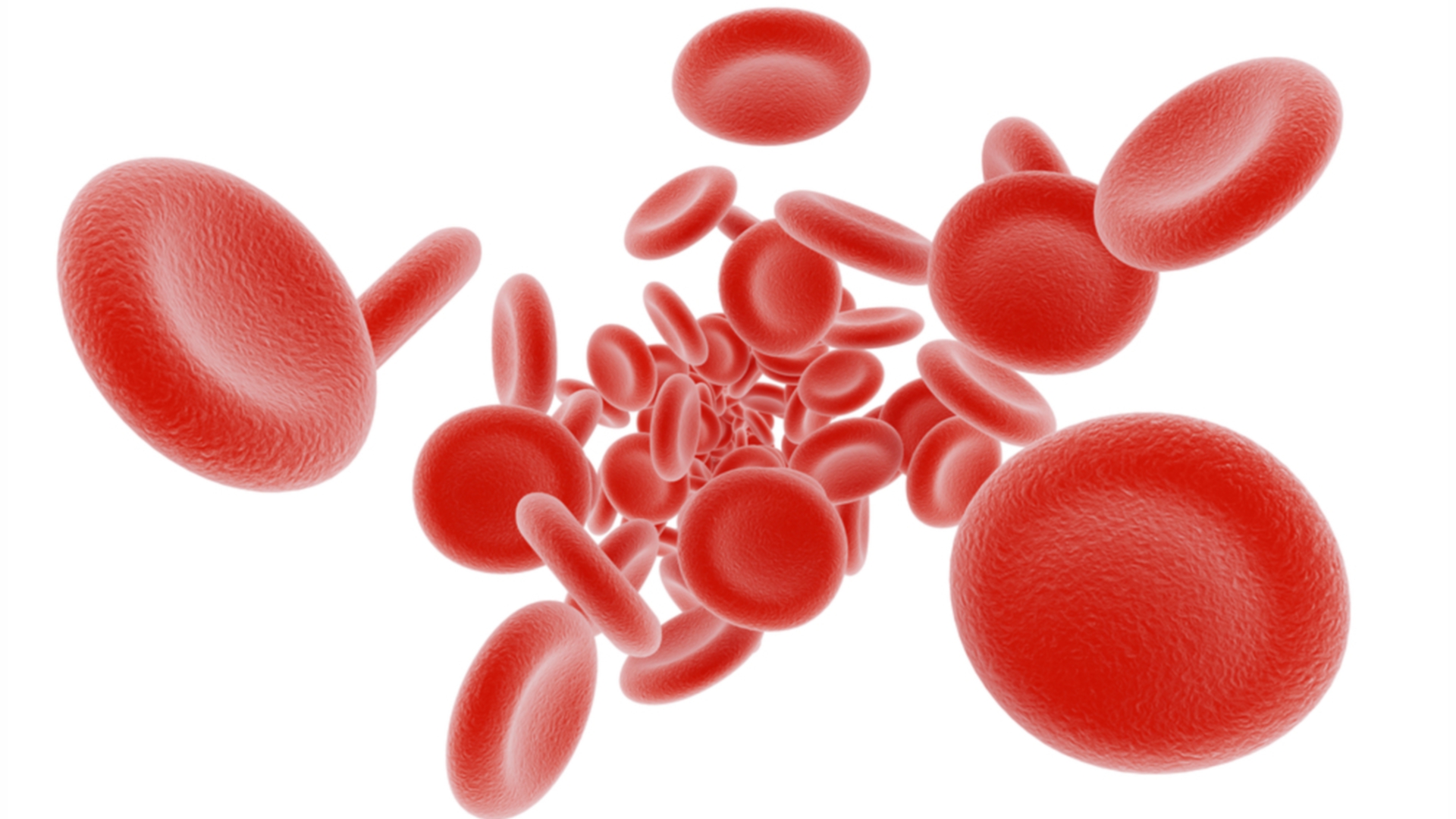 Red Blood Cells